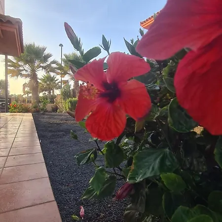 فيلة Ocean House - Origo Mare *