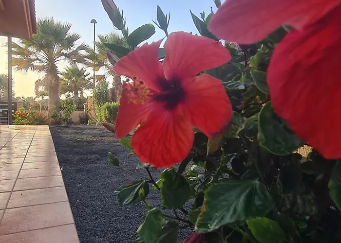 Villa Ocean House - Origo Mare *