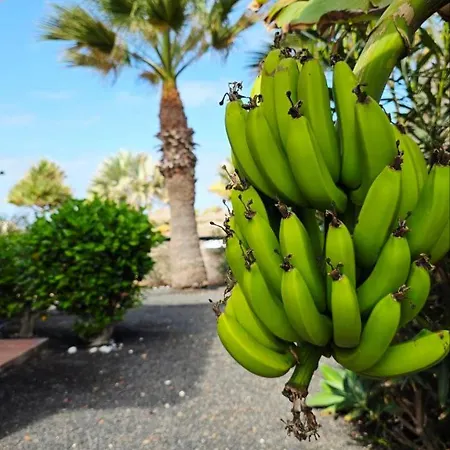 Ocean House - Origo Mare ヴィラ