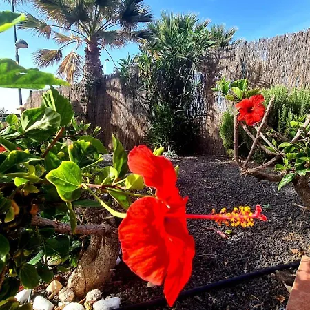 Ocean House - Origo Mare Willa *